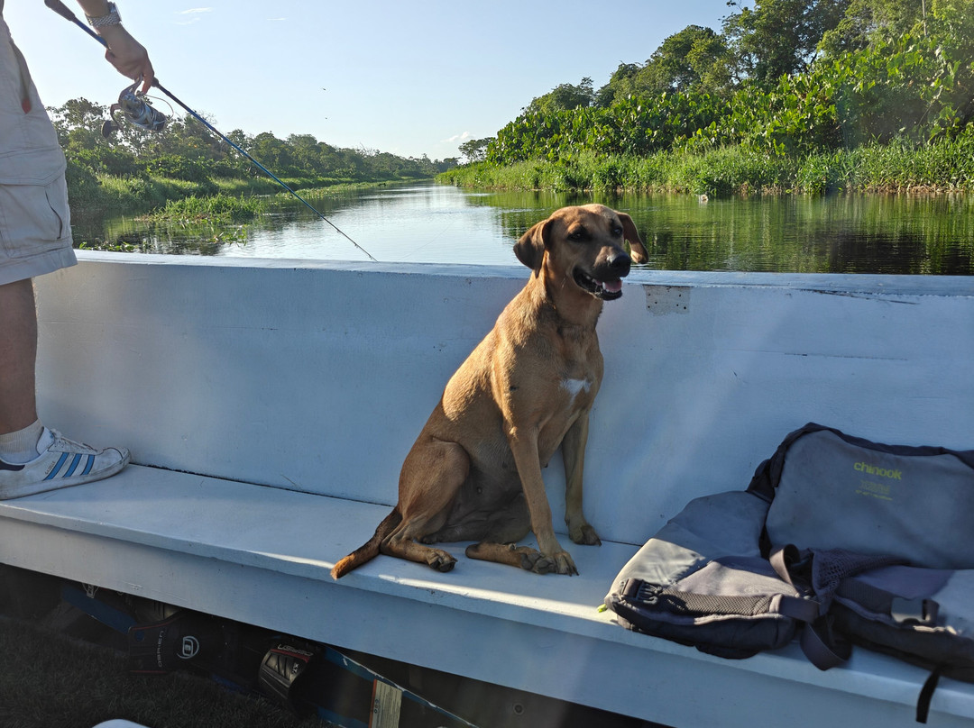 Blackwater Adventures-乔治城必去景点