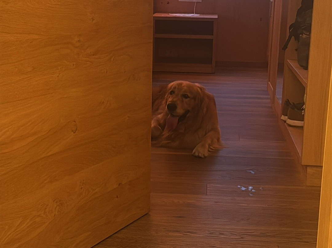 Hotel Chalet La Palsa主图