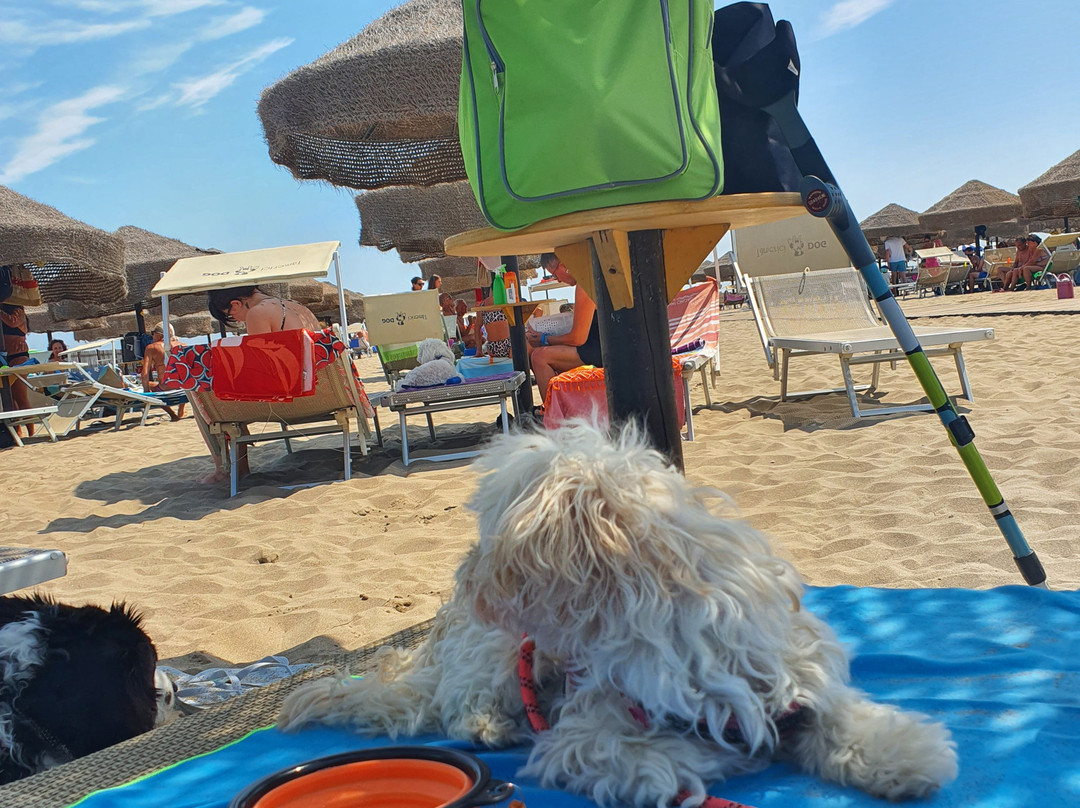 Bagno Tamerici Dog-罗索利纳必去景点