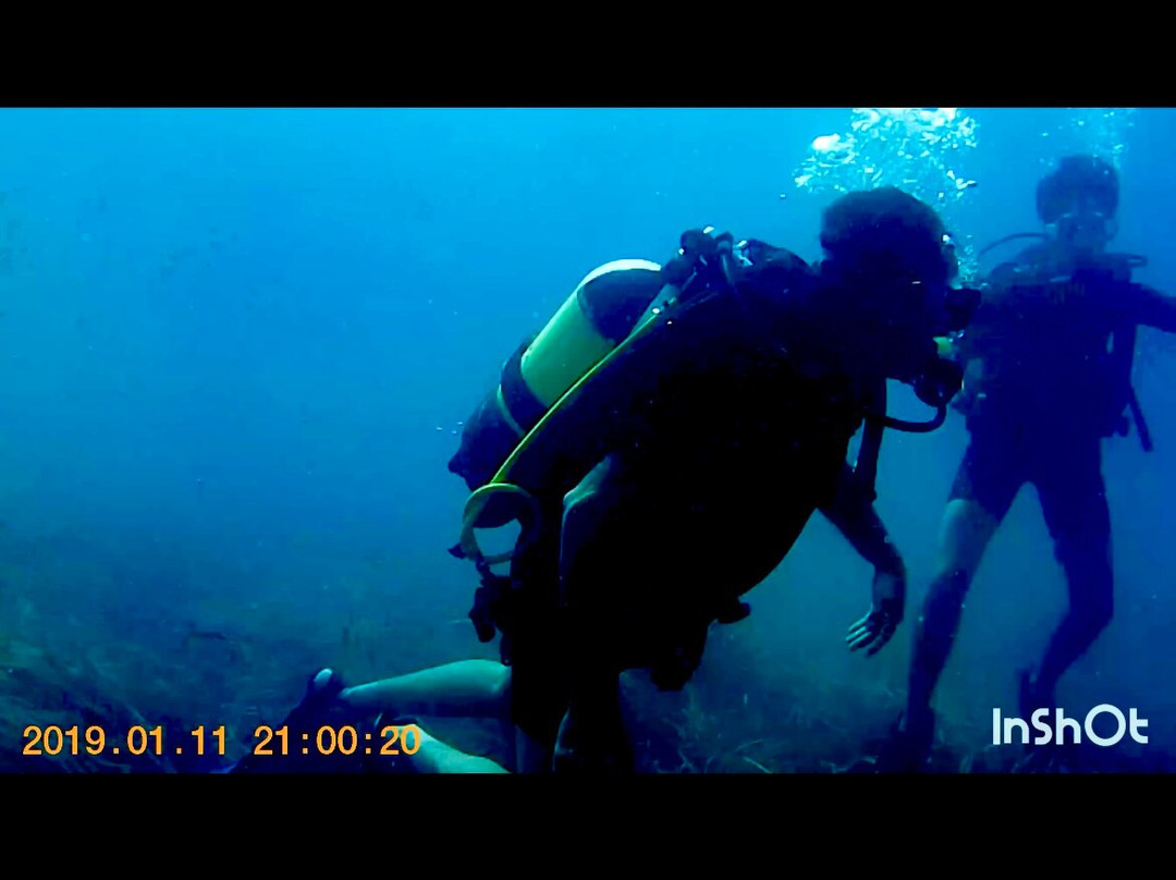 Mardays Dive & Water Experience-哈韦阿必去景点