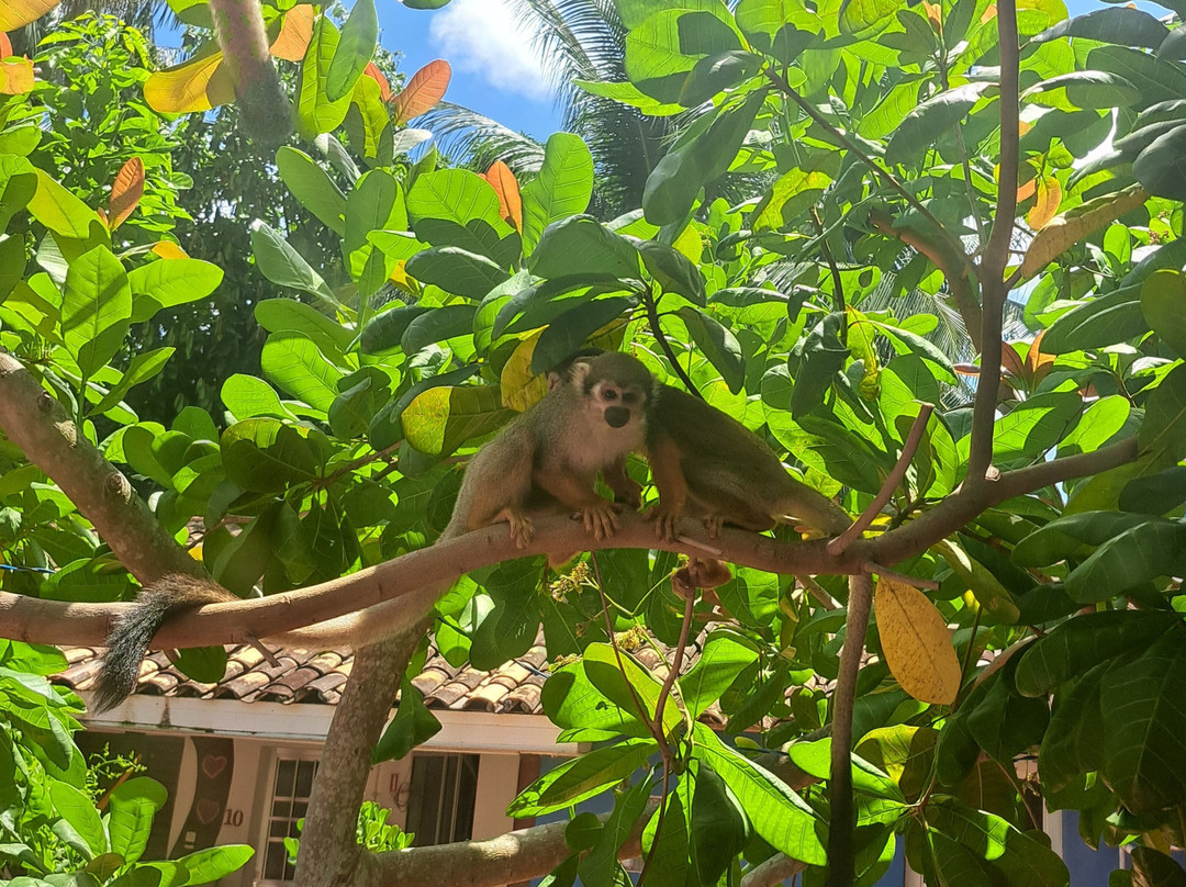 Pousada dos Corações主图