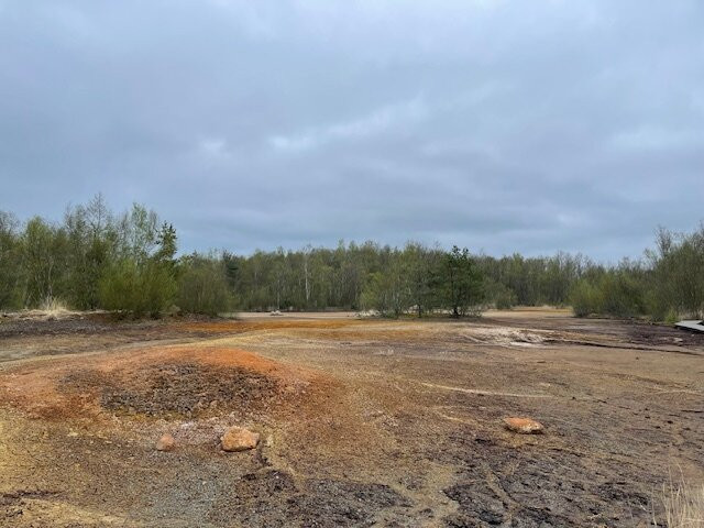 SOOS National Nature Reserve-弗提科维泉市必去景点