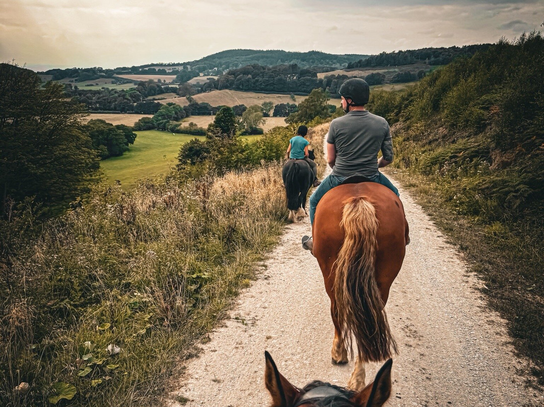 Boltby Pony Trekking-瑟斯克必去景点