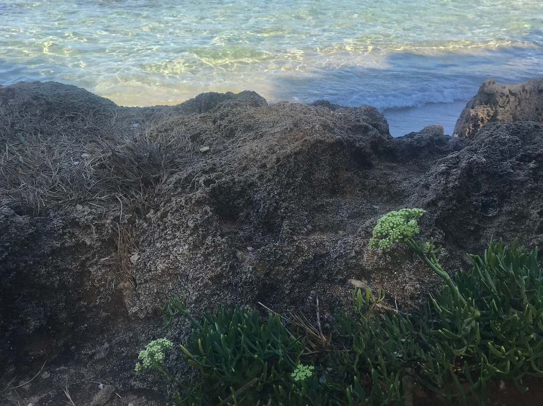 Plage Notre Dame-null必去景点