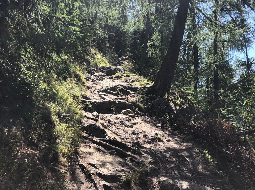 Charles Kuonen Suspension Bridge-Randa必去景点