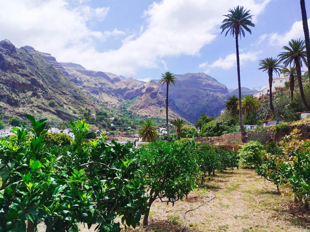 Finca los Castaños-Agaete必去景点