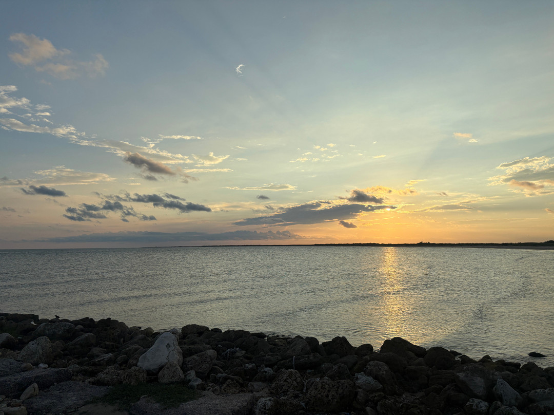 Matagorda Bay Nature Park-Matagorda必去景点