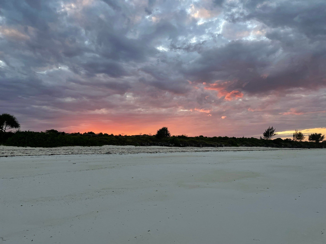 The Mora Zanzibar主图