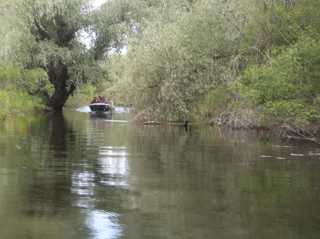 Caraorman Forest-Crisan必去景点