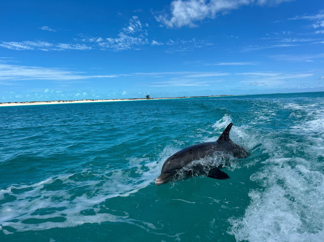 Blue Ocean Tours-Turtle Cove必去景点