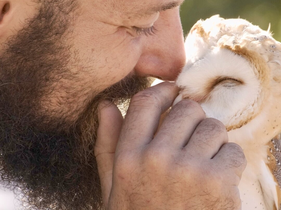 England's Medieval Festival-Nutley必去景点