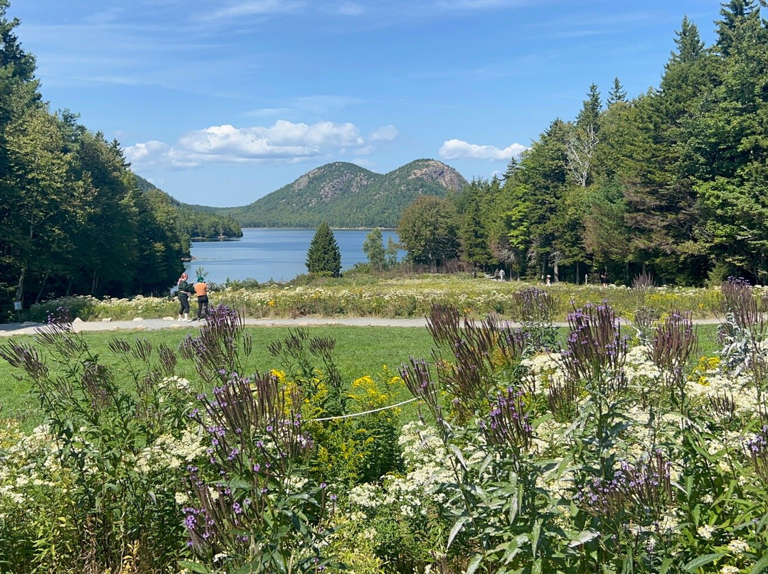 Bubble Rock-阿卡迪亚国家公园必去景点