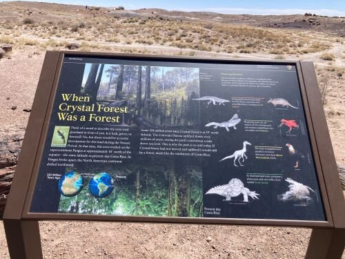 Crystal Forest Trail-石化林国家公园必去景点