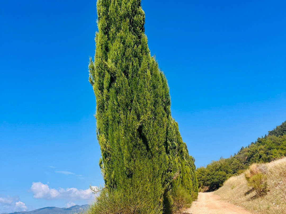 Area Faunistica del Lupo-Civitella Alfedena必去景点