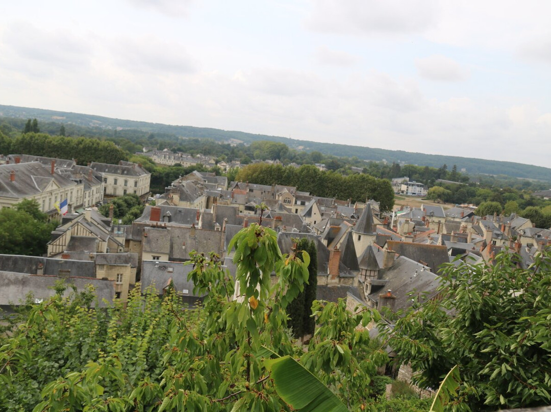 Forteresse royale de Chinon-希农必去景点