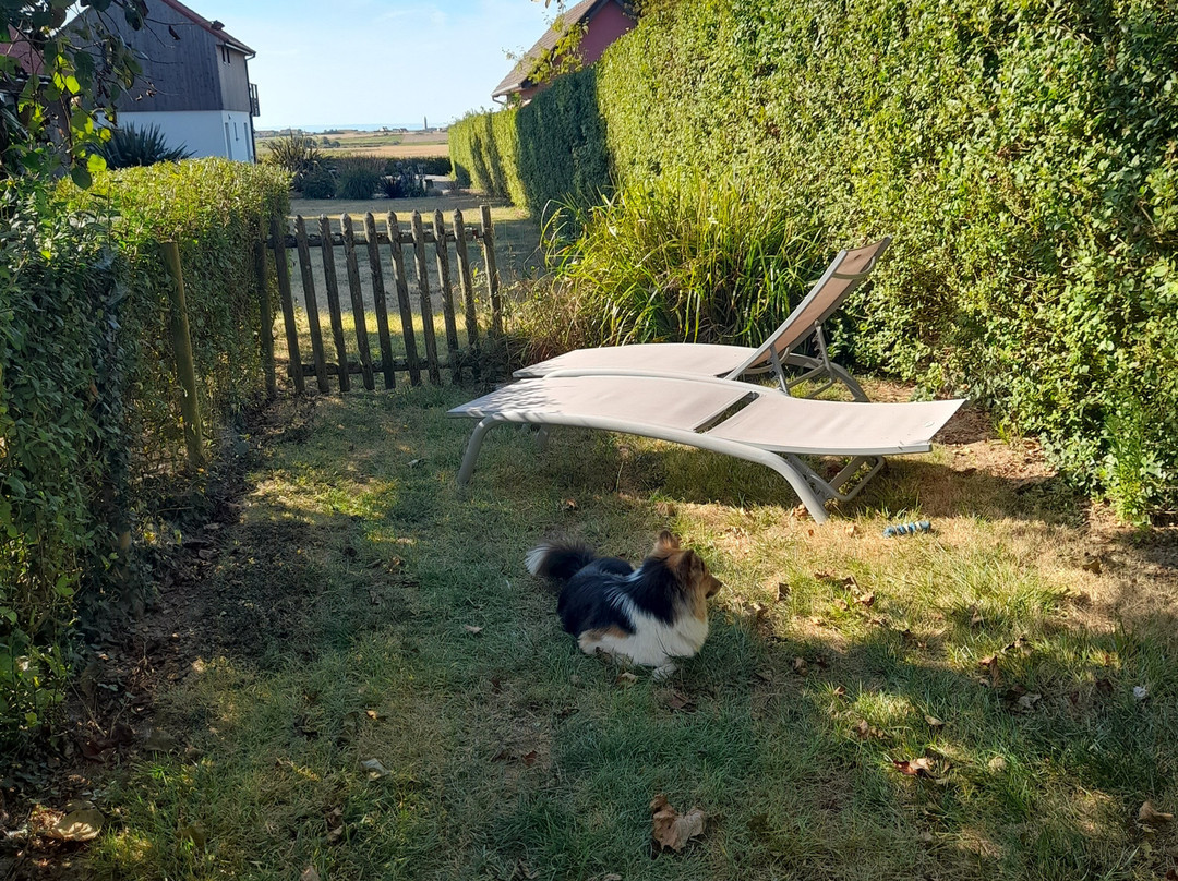 La Rogeraie - Cap Gris Nez主图