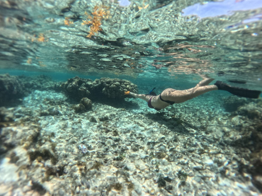 Turquoise Days-普罗维登西亚莱斯必去景点