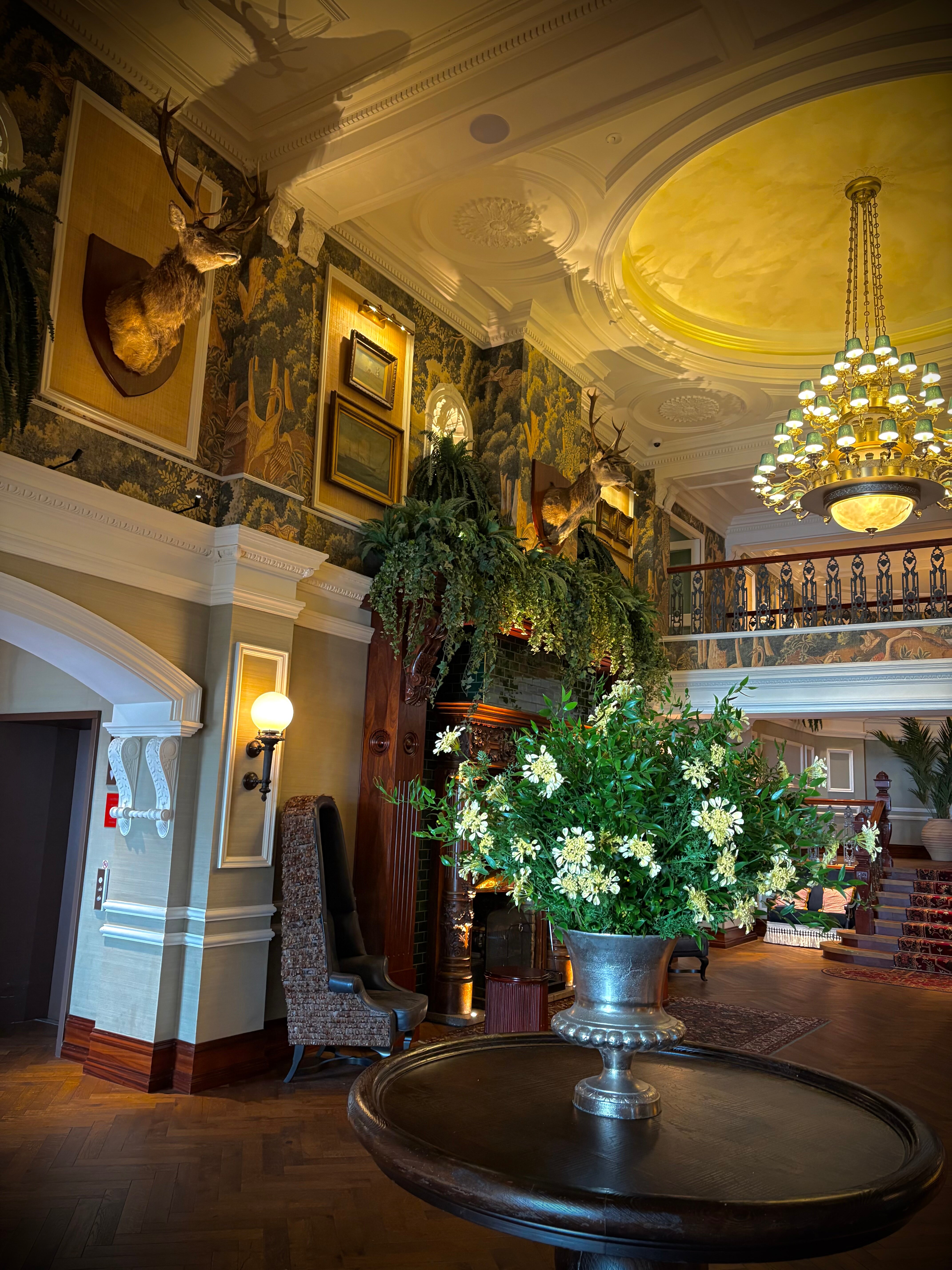 Slieve Donard-官方