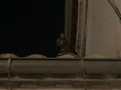 Granada Secreta-格拉纳达必去景点