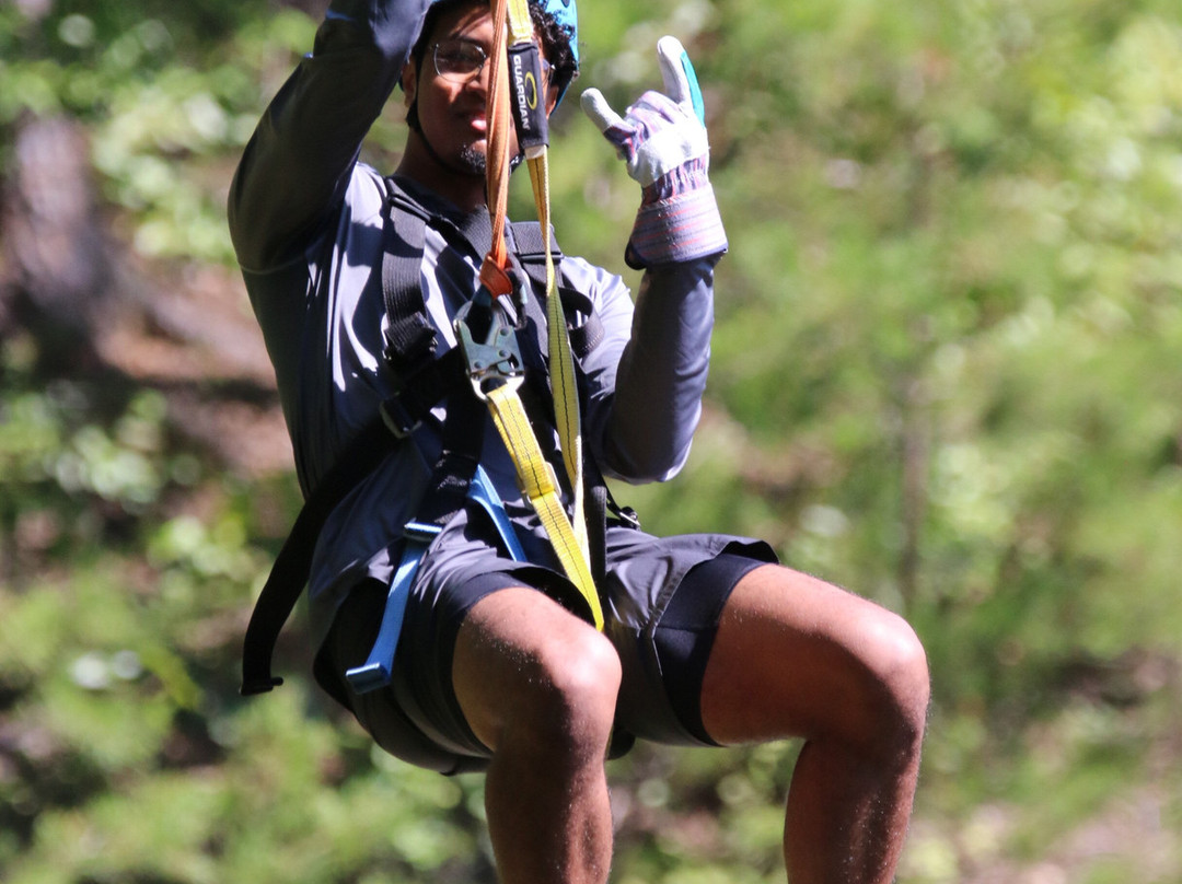 Ocoee Ziplines and Canopy Tours-Copperhill必去景点