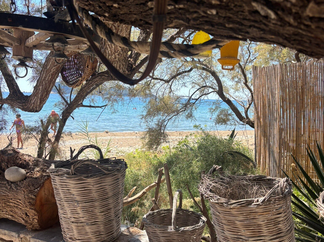 Dafni Beach-扎金索斯必去景点