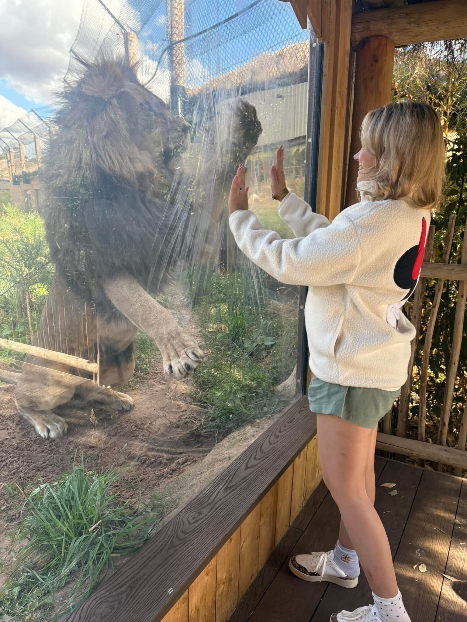 Safari Lodges At West Midlands Safari Park-官方