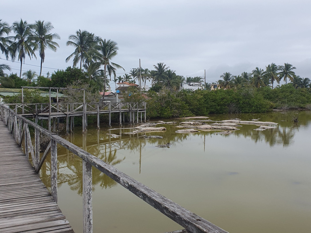 Laguna Salinas-维里亚米尔港必去景点