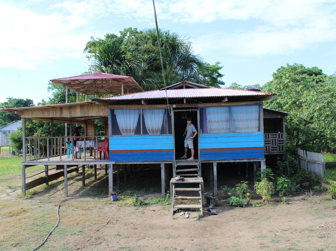 Expeditions George of the Jungle-莱蒂西亚必去景点