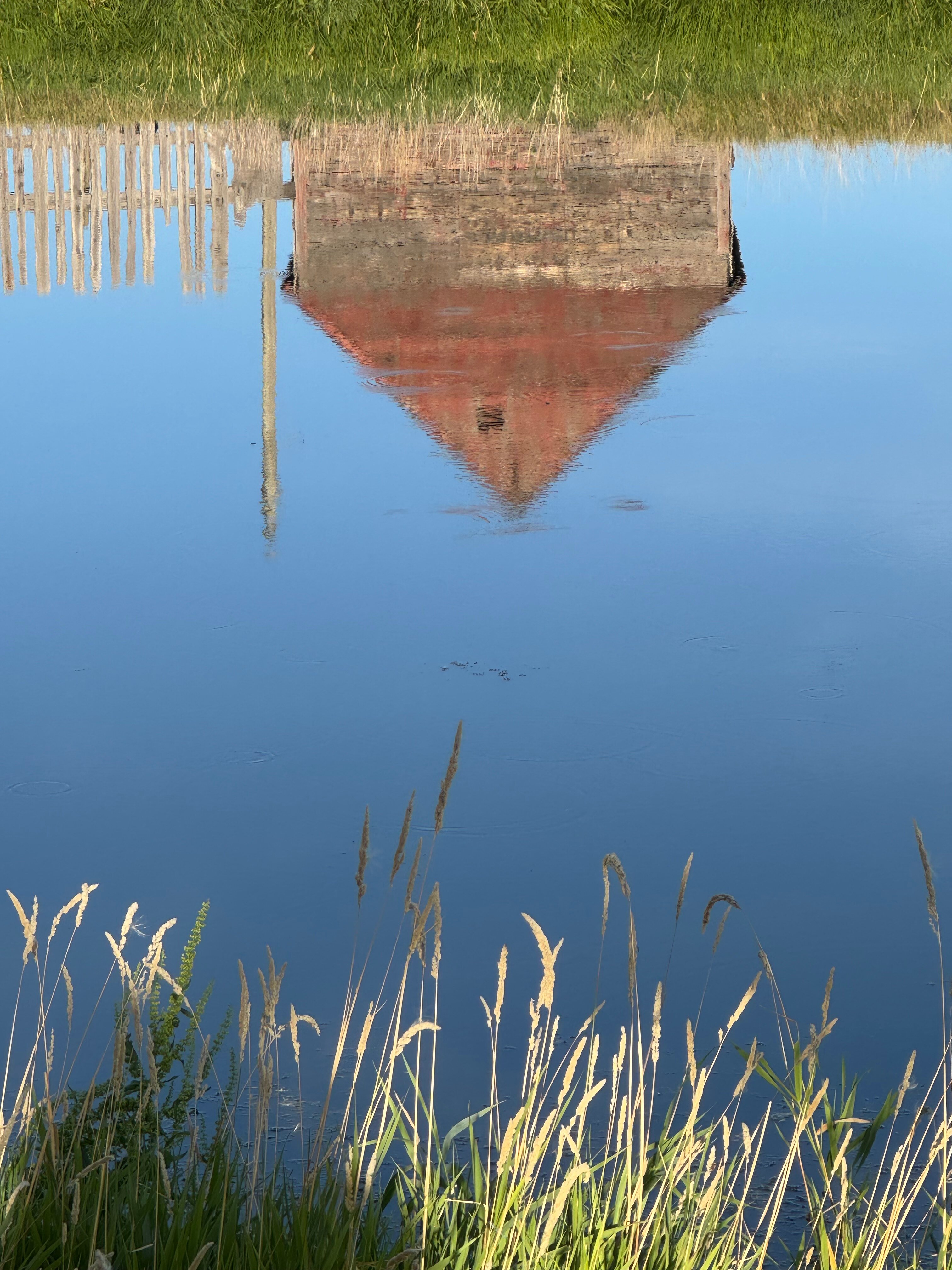 The Crossing at Grasslands-官方