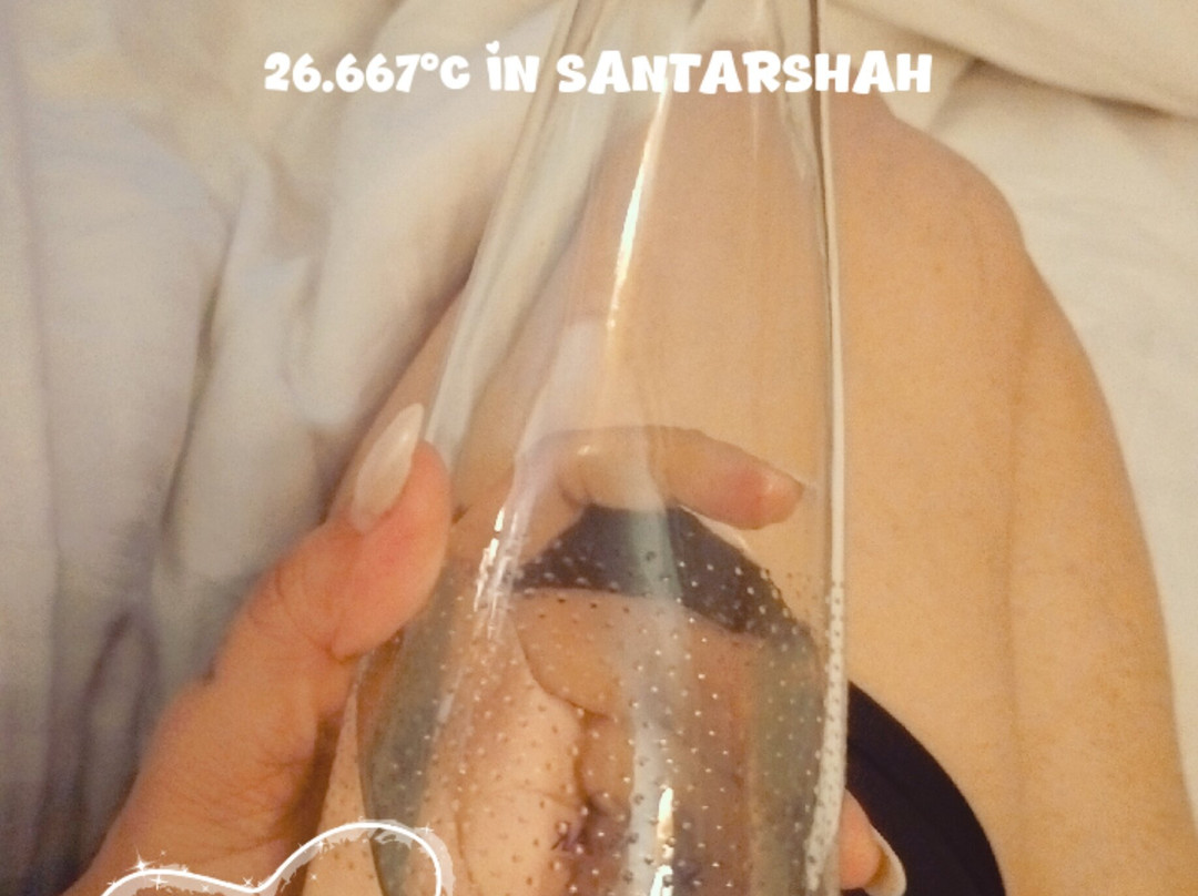 Ambrosia Sarovar Portico Hotel主图