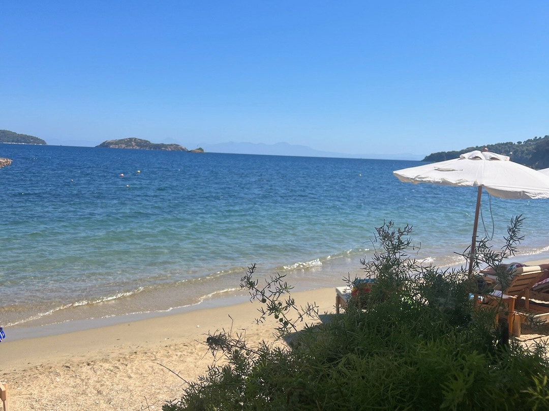 Achladies beach-Achladias必去景点