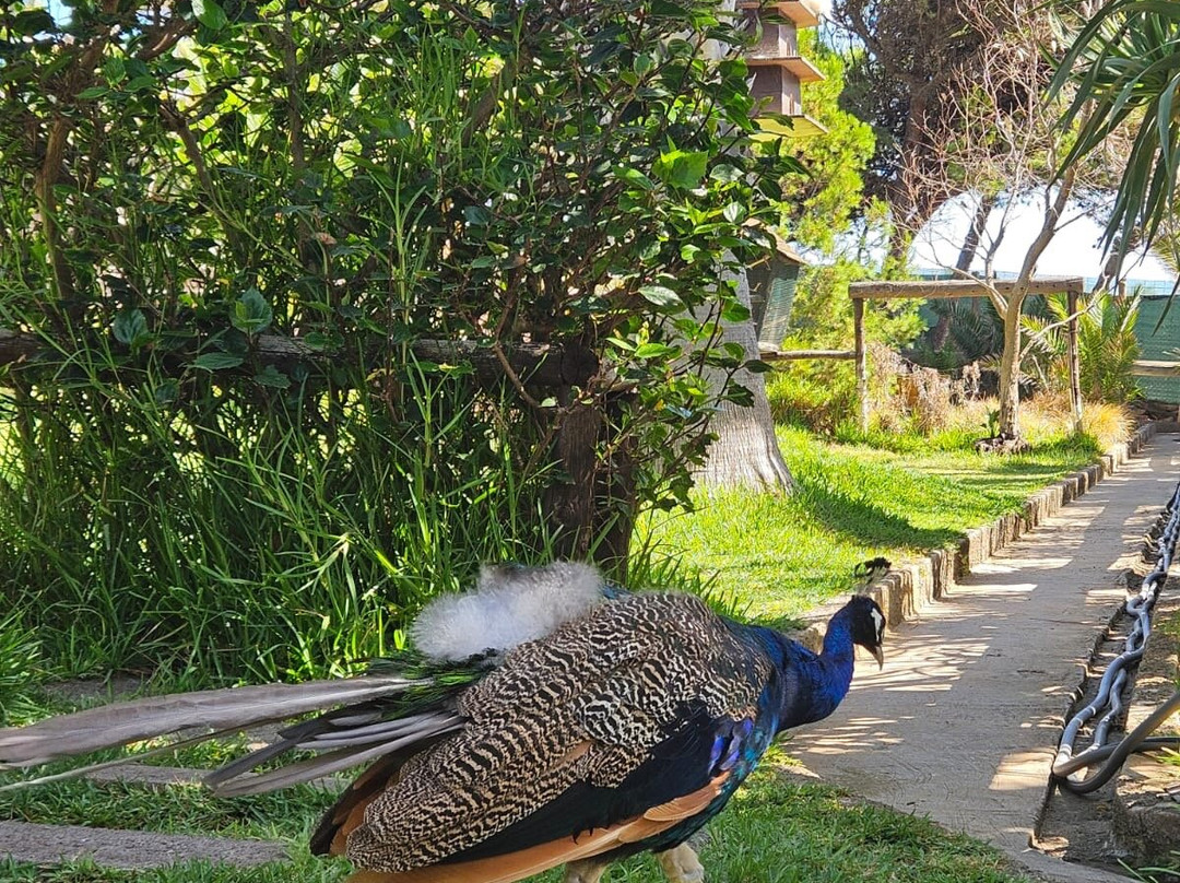 Quinta Das Palmeiras-Porto Santo Island必去景点
