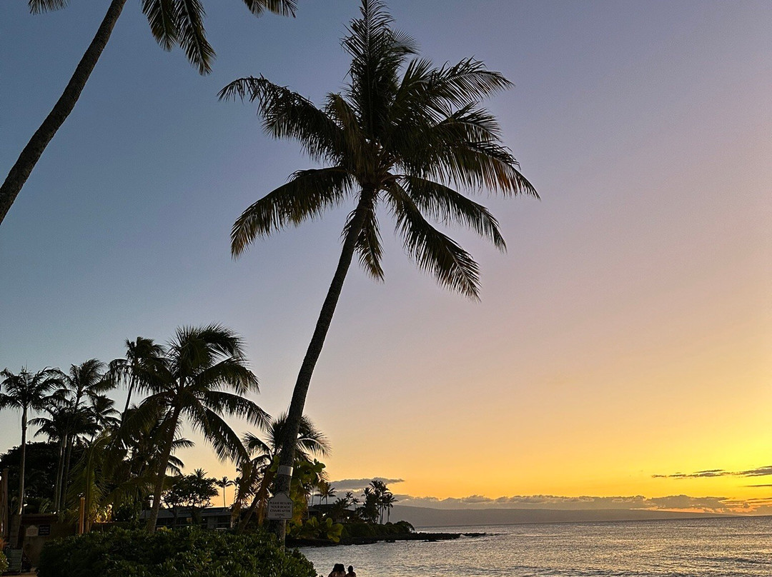 纳普里海滩毛伊酒店主图