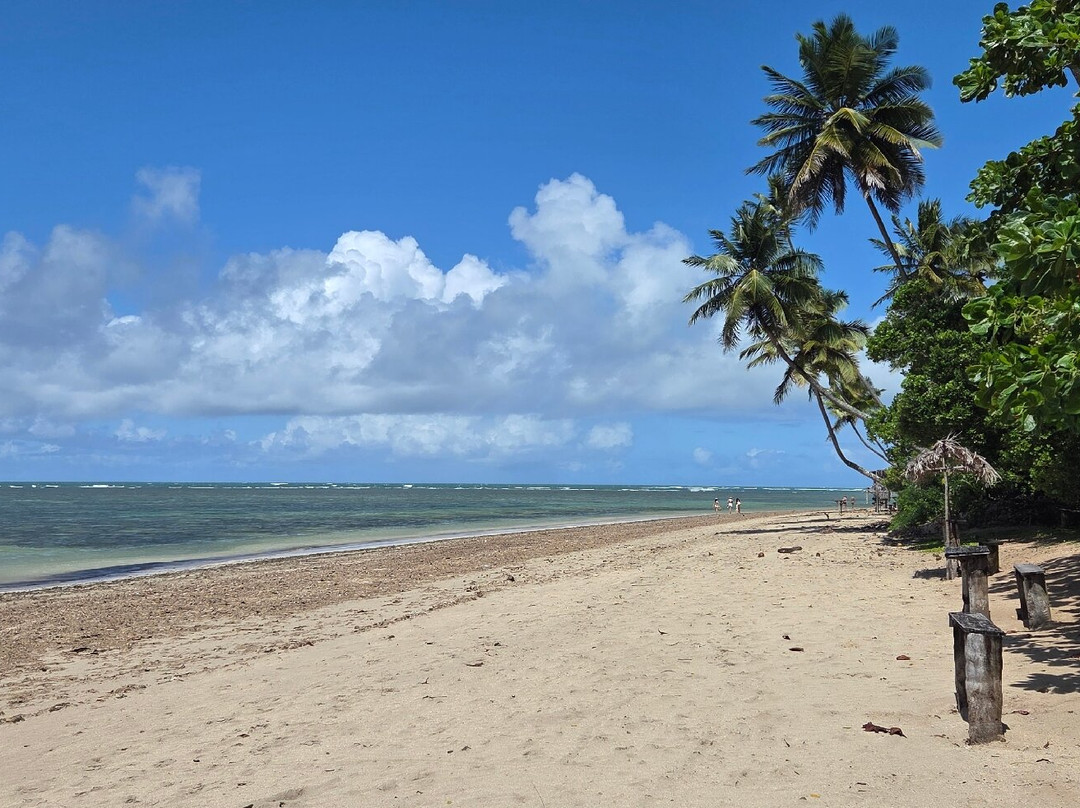 Morere Beach-Ilha de Boipeda必去景点
