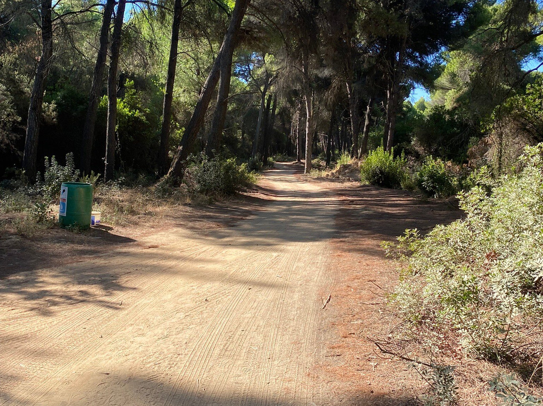 Amalia Apartments主图