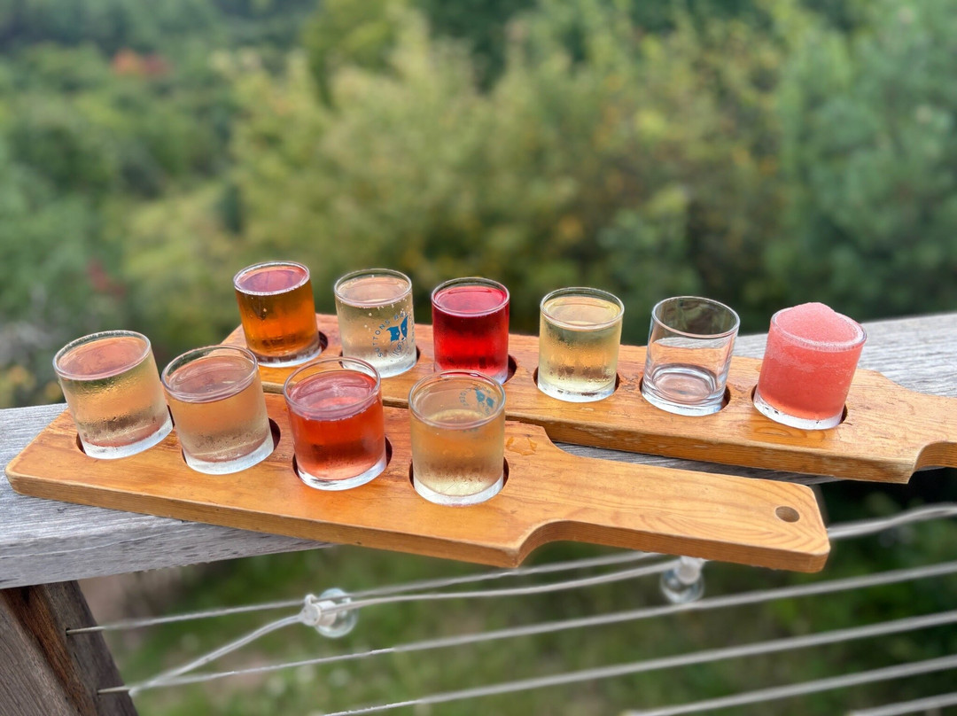 Grand Traverse Bike Tours-Suttons Bay必去景点