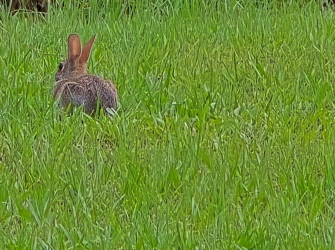 Falling Waters State Park-Chipley必去景点