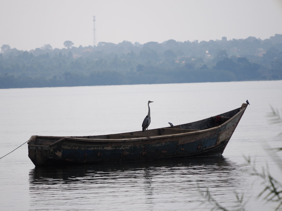 Entebbe Botanical Gardens-恩德培必去景点