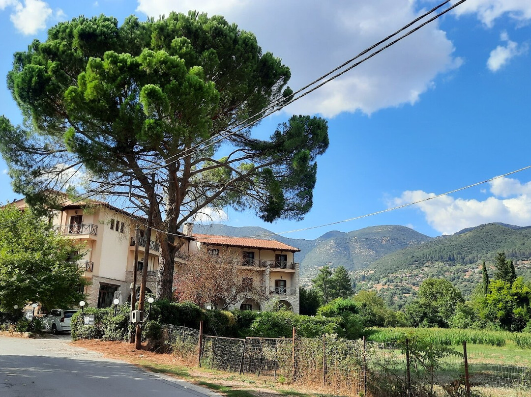 Mont Helmos Hotel主图