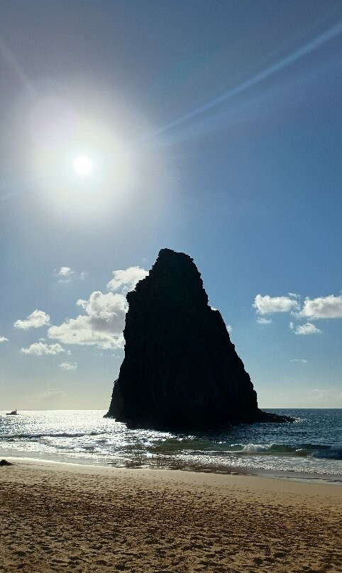 Praia do Cachorro-费尔南多-迪诺罗尼亚群岛必去景点