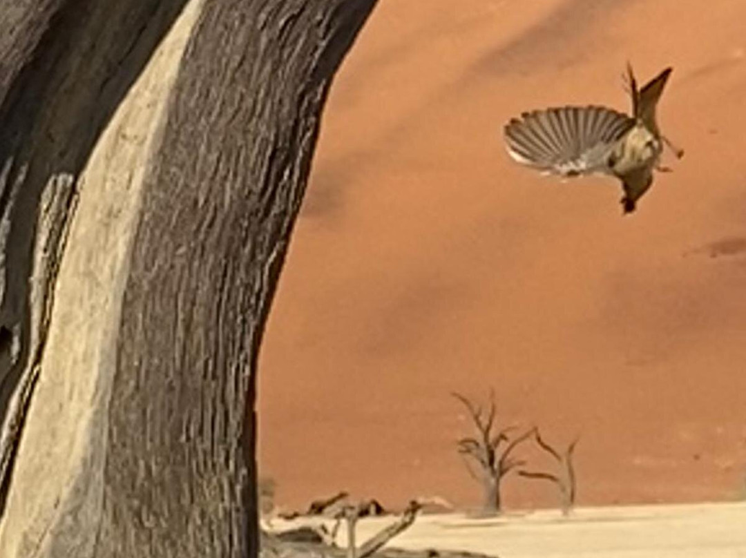 Nature Travel Namibia-温德和克必去景点