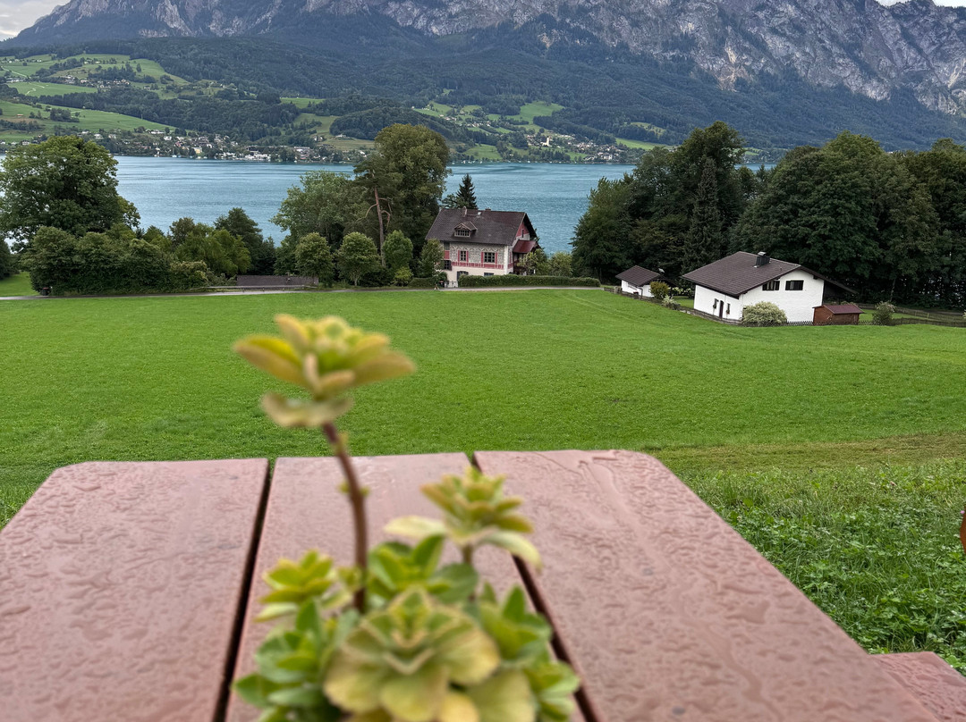 Gasthof Steinerwirt主图