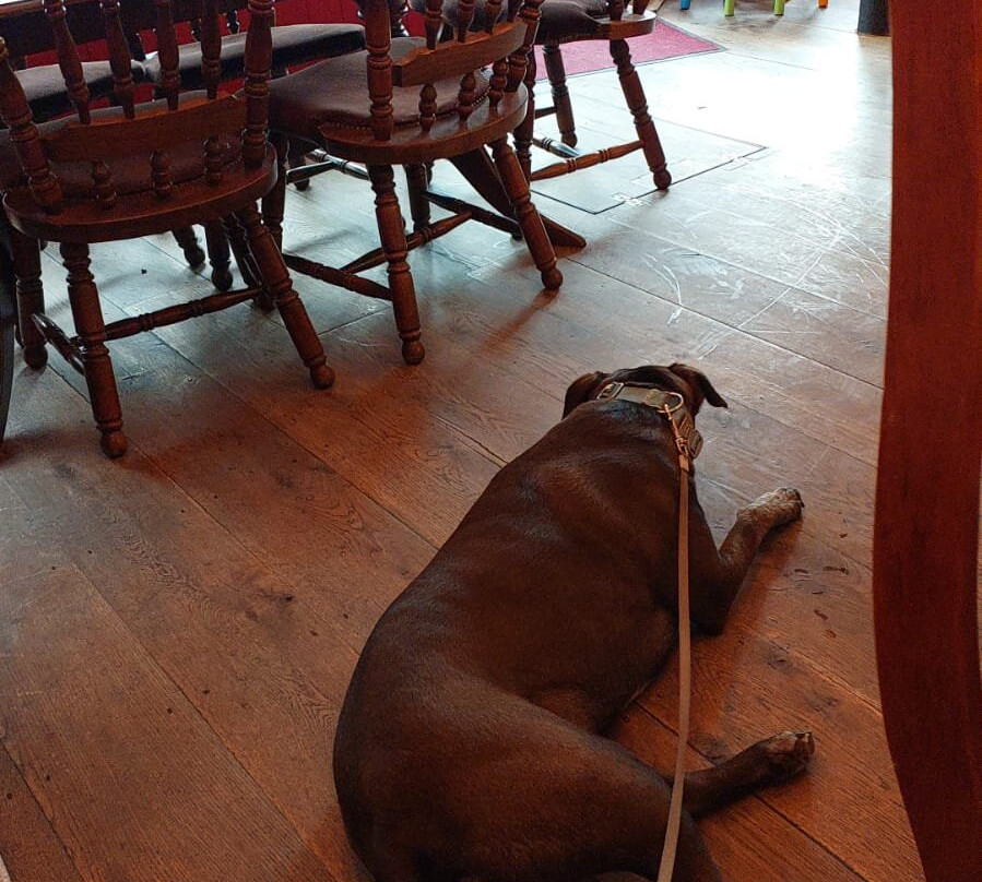 Bleddfa酒店住宿-Watson's Ale House