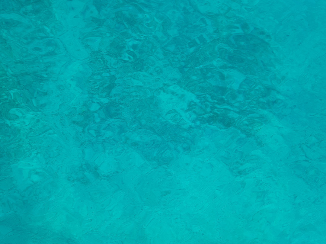 Babitours-Porto Rotondo必去景点