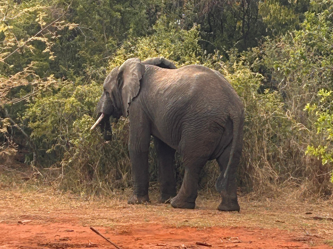 Lets Go Tours Rwanda-吉佳利必去景点