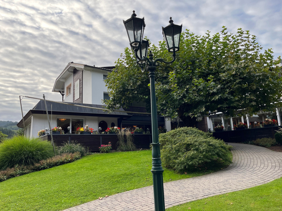 Waldhotel Grüner Baum主图