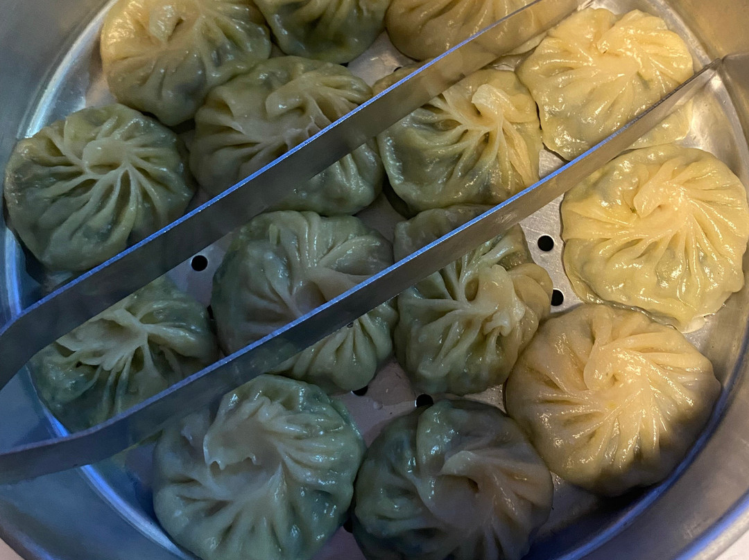 Himalayan Yogini-博卡拉必去景点