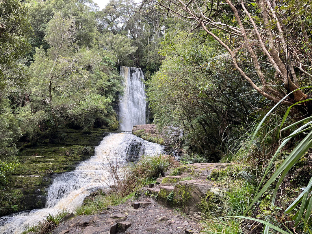 Catlins Tours-奥瓦卡必去景点