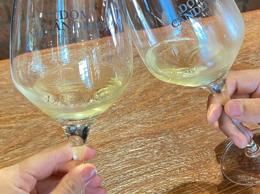 Vinicola Dom Cândido-本图贡萨尔维斯必去景点