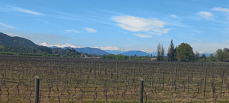 Hostal Colchagua-官方